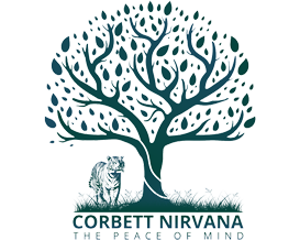 Corbett Nirvana Resort